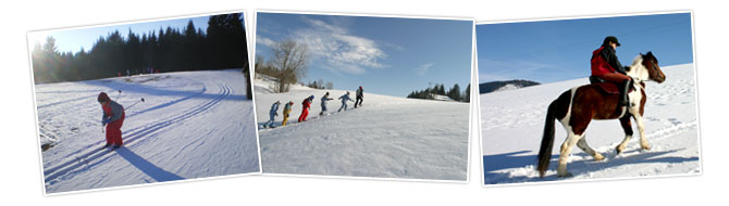 Descente à ski de fond, randonnée à raquettes dans le Jura, balade à poney dans la neige